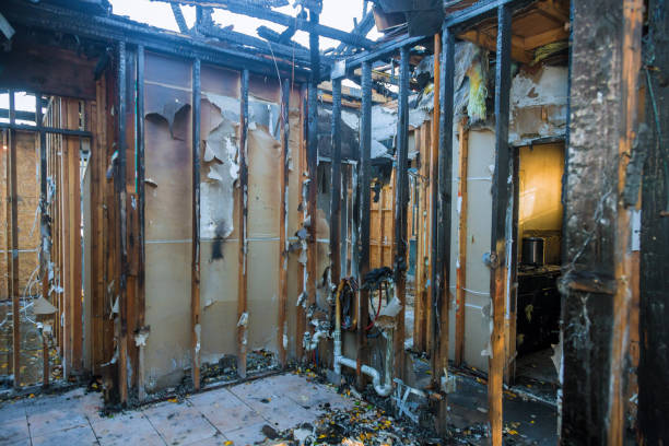 Professional Smoke Odor Removal technician working in Preston, MN